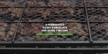 A Ferragosto picnic e grigliate per oltre 7 milioni