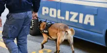 In Ciociaria un bosco degli orrori, trovati un corpo e resti umani