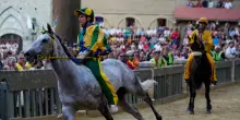 Palio di Siena, contrada del Bruco vince anche prova generale