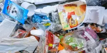Marevivo, 'la plastica ci invade ma nessuno ne parla'
