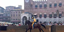 Palio di Siena: provaccia vinta da contrada della Tartuca