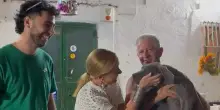 Meloni in Puglia, visita a sorpresa a un allevamento di cani