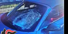 Sfida choc: fingono di gettarsi sotto le auto, uno travolto