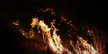 Spagna in ginocchio per gli incendi, nuovi roghi nelle Asturie evacuati villaggi