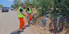 Tre ciclisti travolti e uccisi da un'auto a Terlizzi