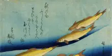 'Graphic Japan', da Hokusai al manga in mostra a Bologna