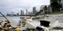 Ong, stallo sul trattato contro l'inquinamento da plastica