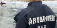 Street food nel mirino dei Nas, 36 kg di polpette scadute