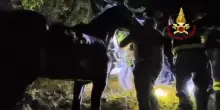 Due cavalli bloccati in un burrone nell'Ascolano, salvati