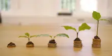 Obbligazioni green: cosa sono, come funzionano e quando convengono a emittenti e investitori