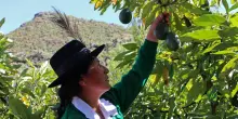 Progetto da 6 miliardi per infrastrutture e agricoltura in Perù