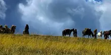 Riprese della Fox, sul Gran Sasso spuntano i cammelli