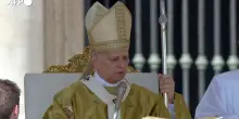 Il Papa: "Frassati e Acutis proclamati santi"