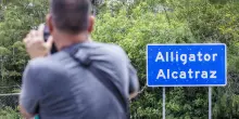 Due italiani detenuti ad Alligator Alcatraz in Florida