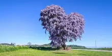 Mai farsi sopraffare, la mia sfida più grande