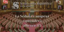 Senato: question time con i ministri Salvini, Bernini e Roccella - la diretta
