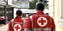 Pistoia, bimba e nonna aggredite da 3 pitbull: sono in gravi condizioni