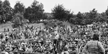 Parco Lambro fa 50