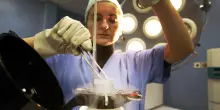 Se la destra è divisa sulla procreazione