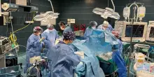 Tumore al polmone, svolta nella cura: scoperto un farmaco che riduce del 40% la mortalità