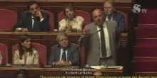 Berrino (FdI): "Le donne che fanno figli per rubare non sono degne di farlo". Bufera al Senato