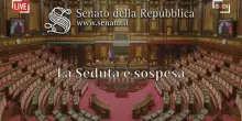 Senato, la discussione sulla conversione in legge del DL Sicurezza. La diretta