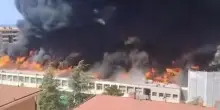 Viterbo, incendio all’università: fiamme nella facoltà di Agraria, studenti in fuga