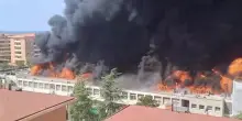 Incendio all'università di Viterbo: in fiamme la facoltà di Agraria, nube di fumo nero