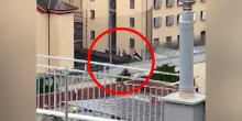 Genova, rivolta in carcere: i detenuti salgono sul tetto