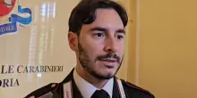Piantagione di marijuana, i carabinieri: "Sospetta quell'auto targata Milano a Pietra Marazzi"