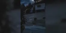 Frana in Veneto, abitanti intrappolati a Borca di Cadore. "Bloccati in casa dai massi"
