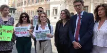 Cannabis, la protesta davanti a Montecitorio: "Siamo imprenditori, ci trattano come narcos"