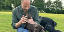 Il principe William compie 43 anni e festeggia il compleanno con una foto che conquista i social