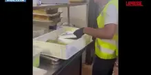 Blatte nella dispensa: chiuso un ristorante a Catania