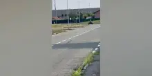 Gare clandestine fra motociclisti a Nichelino: "Un pericolo per loro e per chi passa di lì"