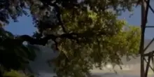 Inondazione in Texas, il fiume Guadalupe sommerge tre contee - il video