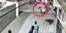 Pakistan, leone cresciuto in casa scappa e aggredisce una donna in strada