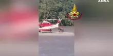 L'elicottero salva sette ragazzi durante la piena del fiume Piave