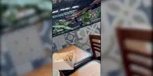Terremoto in Guatemala: panico al centro commerciale