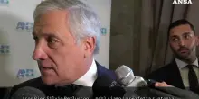 Ius scholae, Tajani: "Siamo in perfetta sintonia con Pier Silvio Berlusconi, non è una priorità"