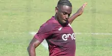 Toro, ecce bomber: si rivede Zapata