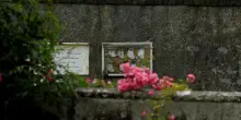 Irlanda, l’orrore di Tuam: 796 neonati sepolti dalle suore nelle fosse comuni. Al via gli scavi