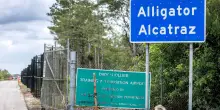 Gli italiani detenuti in Usa: “Siamo in gabbia come polli, fateci uscire da questo incubo”