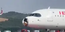Madrid, aereo colpito da uno stormo di uccelli: atterraggio di emergenza