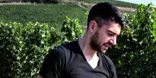 Giovanni Correggia: “Con le mie storie su Instagram porto il Roero in Australia”