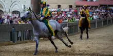 Palio di Siena, vince la contrada del Valdimontone col fantino Giuseppe Zedde detto Gingillo