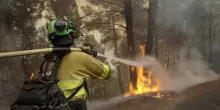 Galizia, gli incendi fermano i pellegrini: chiusi alcuni tratti del Cammino di Santiago