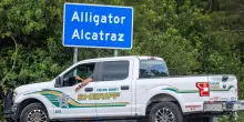 Giudice Usa ordina la chiusura di Alligator Alcatraz entro 60 giorni: “Danneggia l’ambiente”