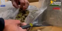 Roma, droga nascosta in un camion tra gli abiti da sposa: sequestrati 81 chili di marijuana
