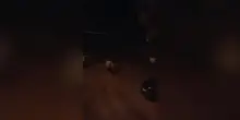 Video benevagienna